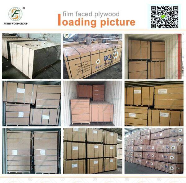 HTB1GckkacvrK1Rjy0Feq6ATmVXaD