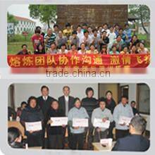 Jiangsu Huayang Electric Co., Ltd. company overview - view 2