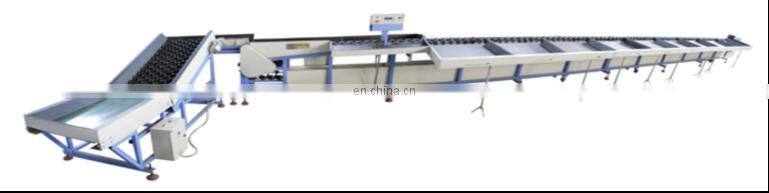 Fruit cleaning processing line waxing drying sorting machine