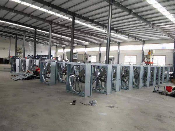 Shandong Jinlvye International Trade Co.,ltd. company overview - view 2