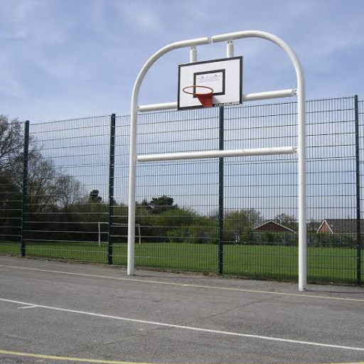backyard basketball fence