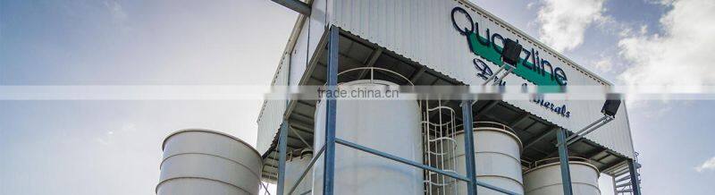 Quartzline B.v. company overview - view 2