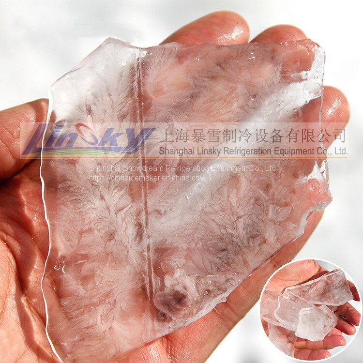 plate ice