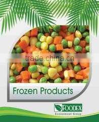 Foodex Company For Import And Export company overview - view 1