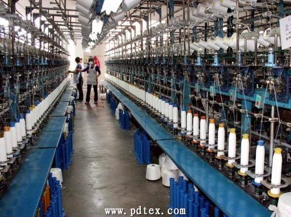 ZhangJiaGang Prancy Dragon Textile Co.,Ltd. company overview - view 4