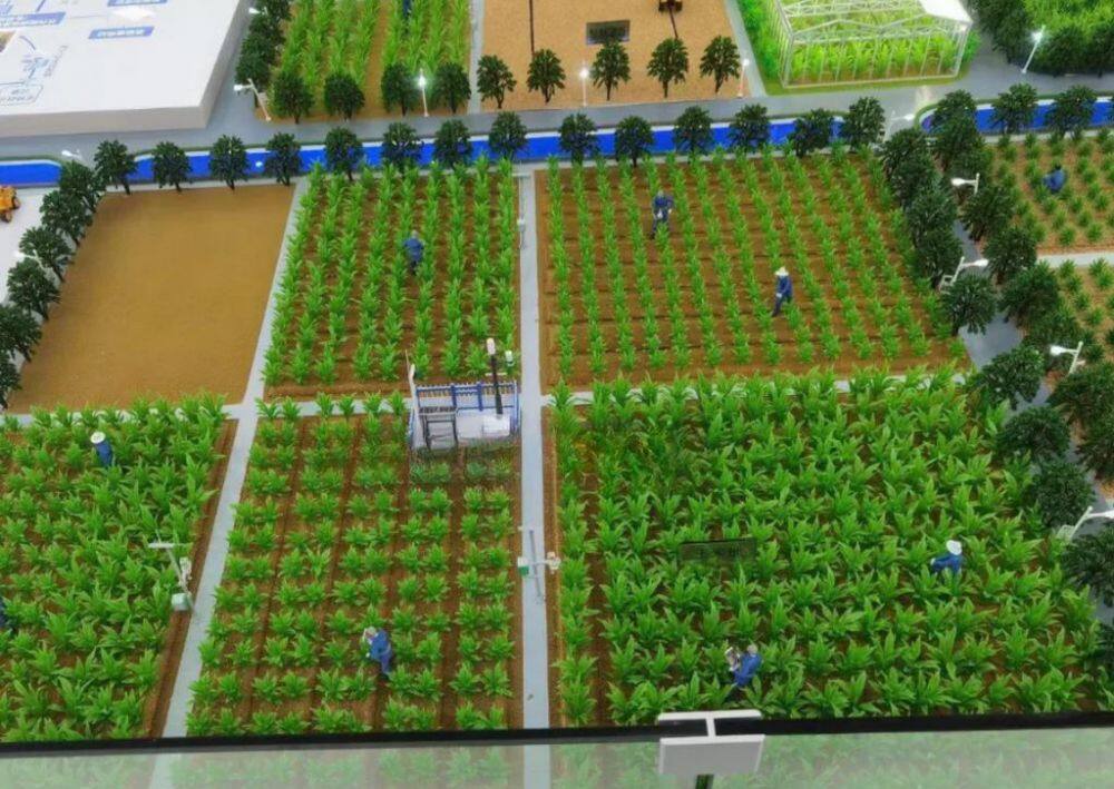 农业沙盘 - 1K JPEG (2)