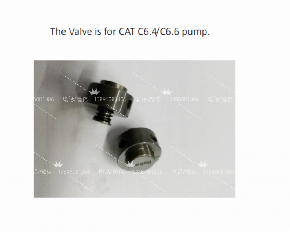 微信图片_20241121132945