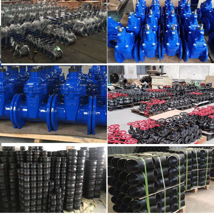 JIS/ANSI/DIN Foot Valve Cast Iron GGG50 Ductile Iron Flange Stainless Steel Filter Strainer Water Pump