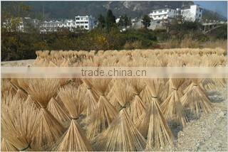 Bamboo Yantai Co., Ltd. Jinjiang company overview - view 3