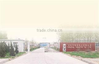 Shenzhen Penzeal Industry Co., Ltd. company overview - view 1