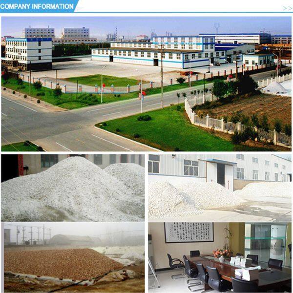 Lianyungang Changtong Silica Powder Co.ltd company overview - view 1