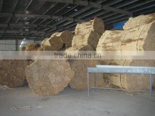 Youngsun Reed Farm company overview - view 2