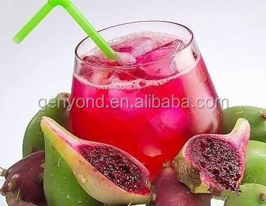 Factory Genyond Complete Prickly Pear Fruit Juice Paste Production Line / Prickly Pear Jam Processing Plant Making Machine