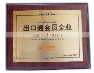 Changzhou Day Colour Jewelry Co., Ltd. company overview - view 2