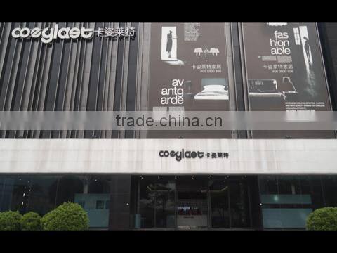 Foshan Shunde Kazilaite Furniture Co., Ltd. company overview - view 1