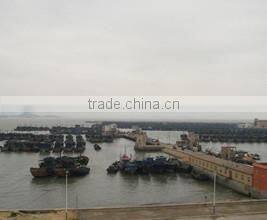 Shishi G-Shield Seafood Technology Co., Ltd. company overview - view 3