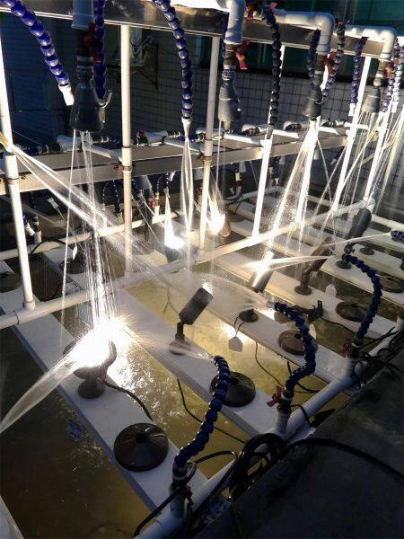 Zhuhai Kinghand Lighting Co.,Ltd company overview - view 1