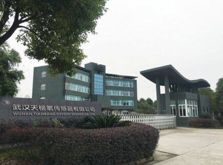 Wuhan TIANBANG Oxygen Sensor Co., Ltd company overview - view 1