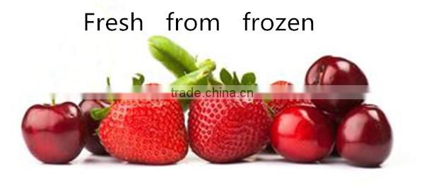 food quick freezing machine/iqf tunnel freezer