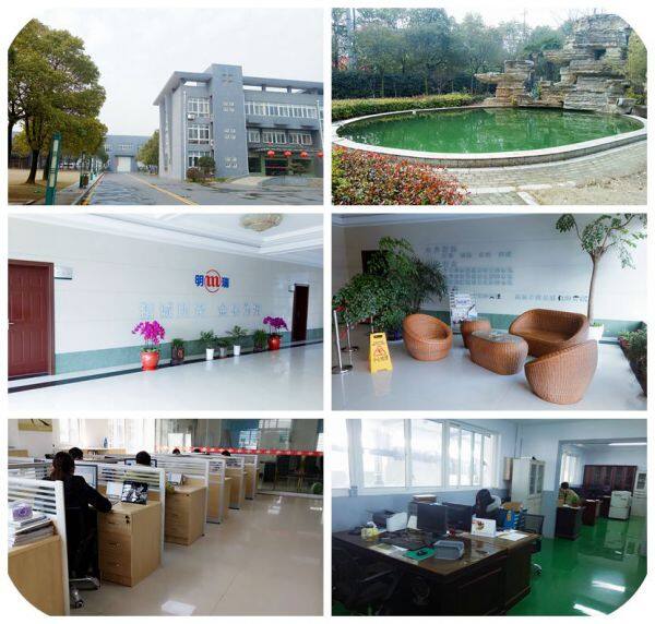 Jiangsu Mingrui Gas Spring Technology CO.,Ltd company overview - view 1