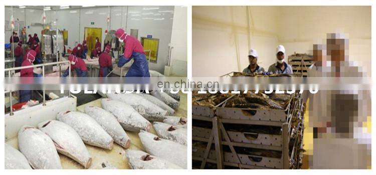 small scale canned tuna flakes in oil processing machine