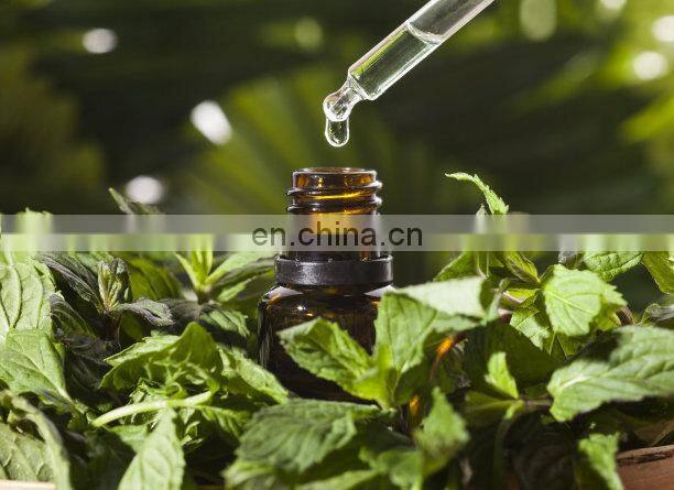 100L - 500L Laurel essential oil essential oil distillation equipment