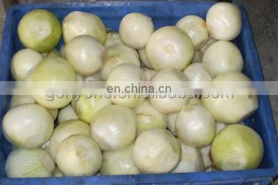 automatic industrial onion peeling machine/onion peeler machine for sale