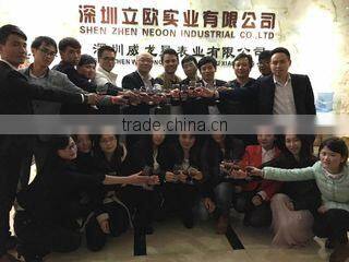 Shenzhen Neoon Industrial Co., Ltd. company overview - view 1