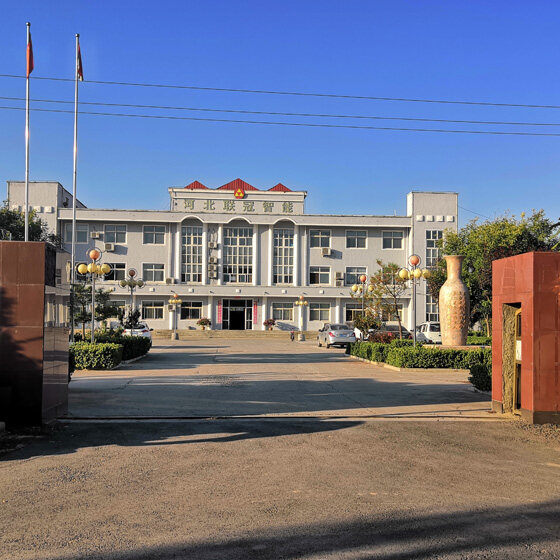 Hebei Lianjing Carbon New Material Tech Co., Ltd company overview - view 1