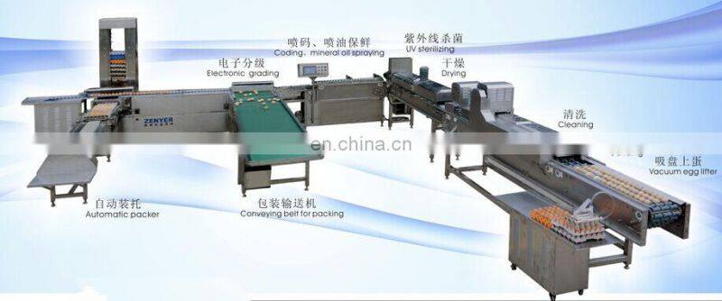 full automatic egg cleaning and sorting packing line production line processing line