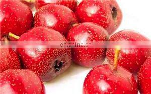 Date palm sorting and cleaning machine/sorting system