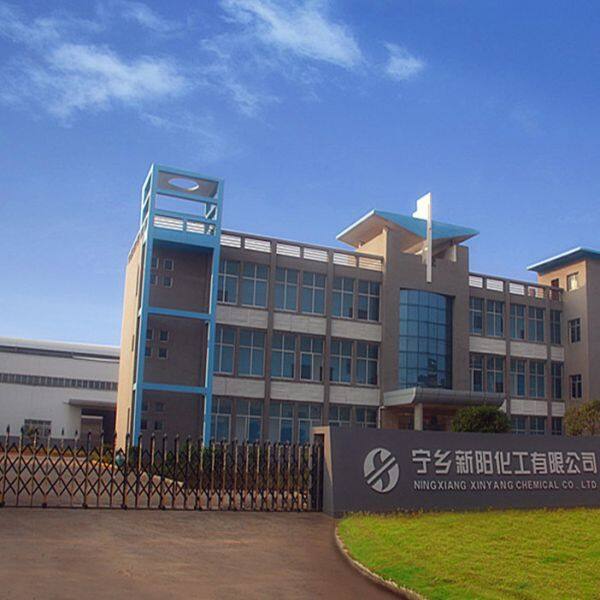 Ningxiang Xinyang Chemical Co., Ltd company overview - view 1