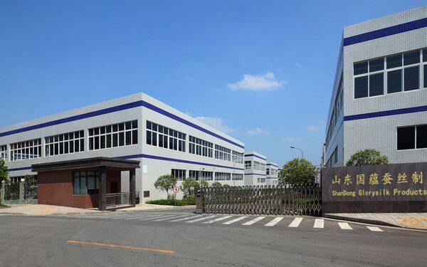Shandong Glorysilk Company company overview - view 1