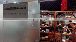 Foshan Shunde Daydayup Trade Co., Ltd. company overview - view 1