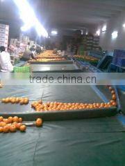 Al Shareed Enterprises company overview - view 2