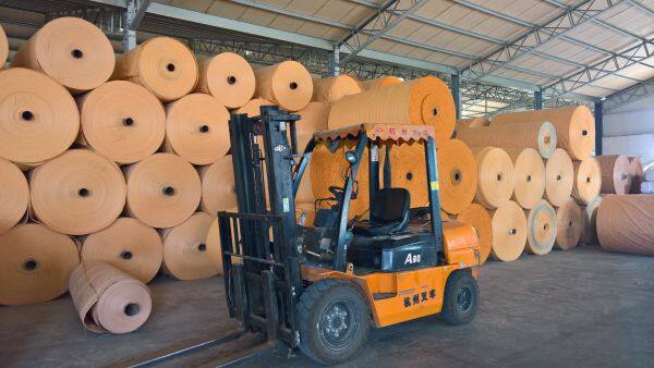 Linyi Qiansi Plastic Packing Products Co., Ltd. company overview - view 1