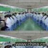 Shanghai Lucky CO., LTD. company overview - view 1