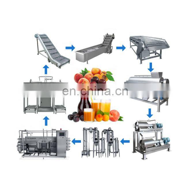 Factory Genyond fruit grape paste honey jam puree syrup processing plant grape juice production line making machine equipment