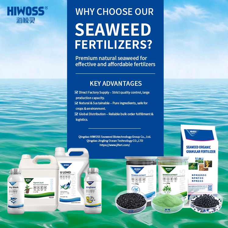 Qingdao Jingling Ocean Technology Co., Ltd. company overview - view 1