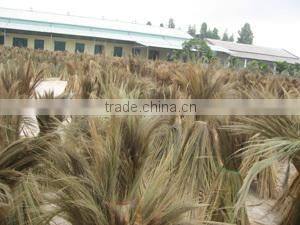 Tien Phuong Trading And Manufacturing Co., Ltd company overview - view 2