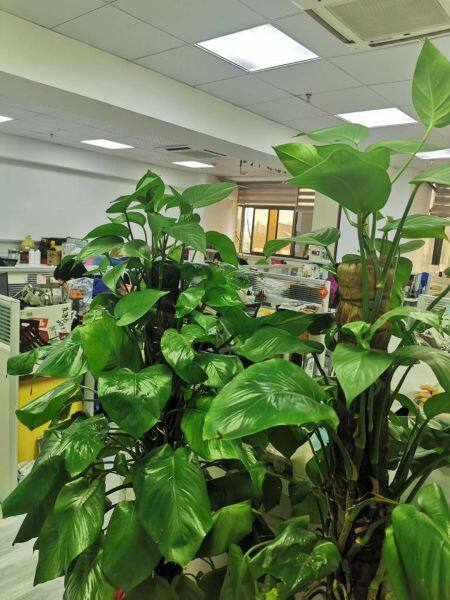 Shanghai Richem Envirotec Co.,ltd. company overview - view 1