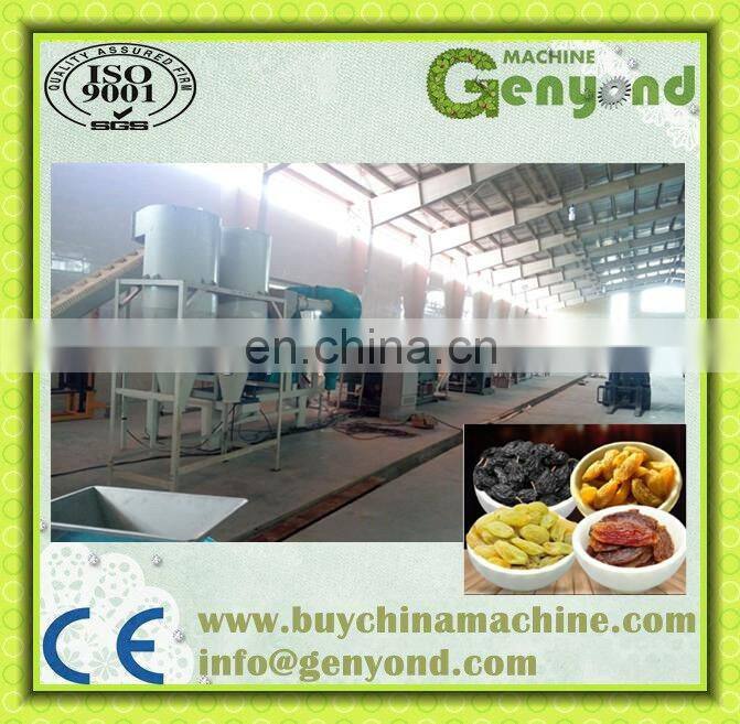 raisin making machine dried grapes making machine for sale