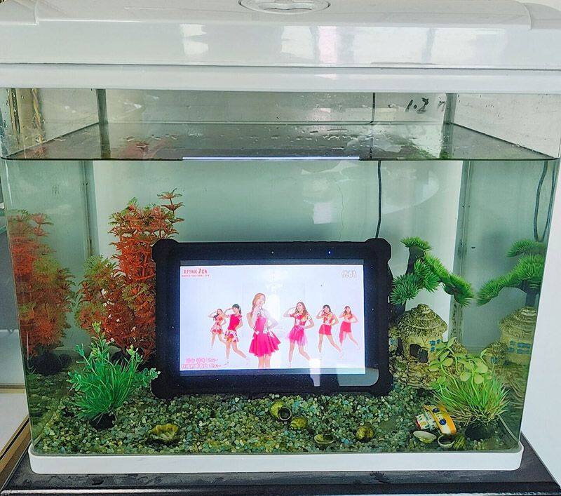 Working in the water-800.jpg