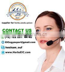 The Egyptian International Center For Export company overview - view 1