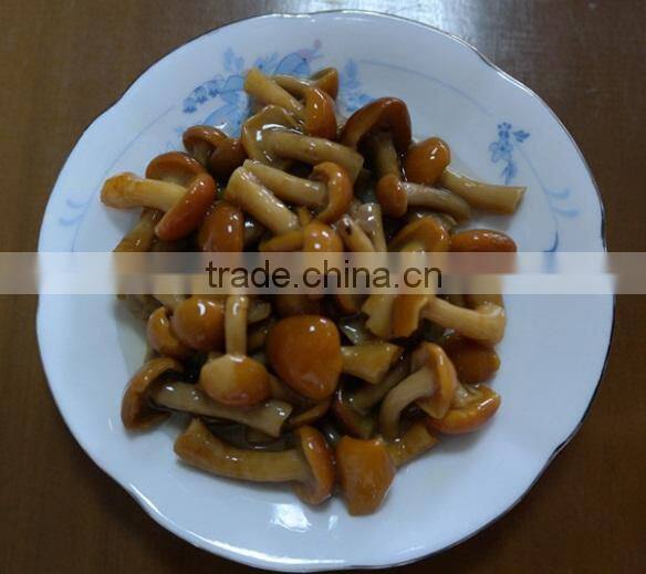 Dalian Global Link Trading Co., Ltd. company overview - view 4