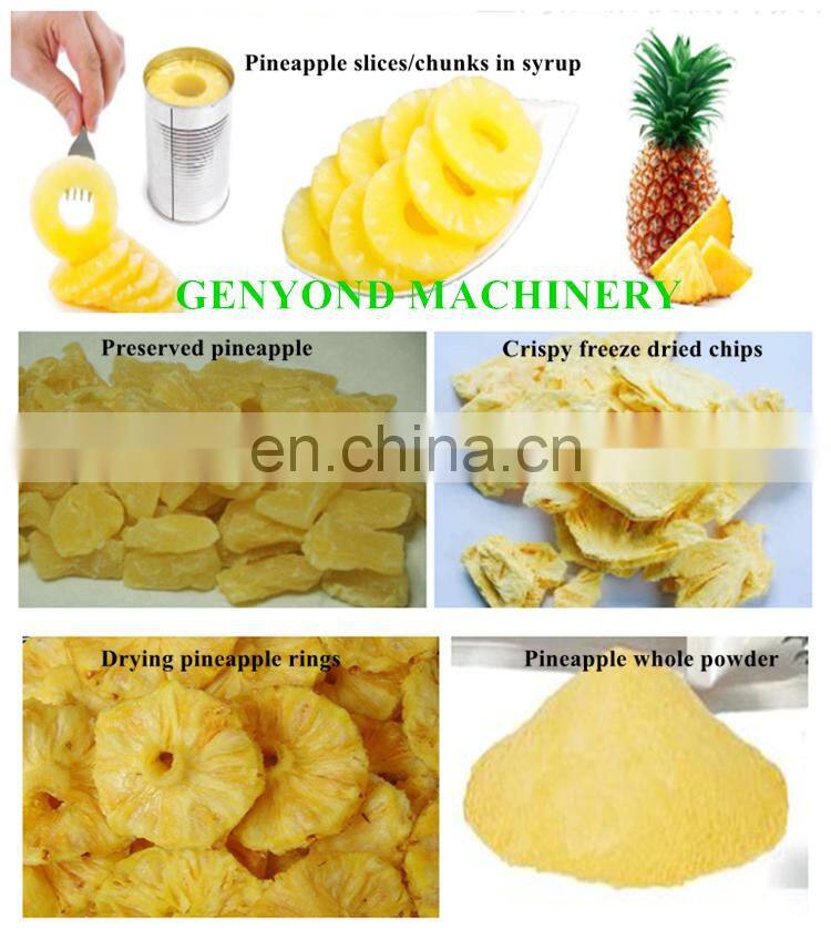 Commercial industry fruit juice making machine / natural juice production line / lemon juice processing plant