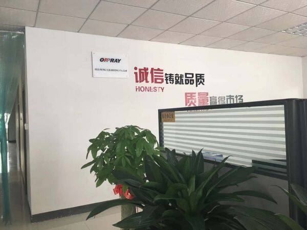 FEI PENG LIGHTING Co.,Ltd company overview - view 4