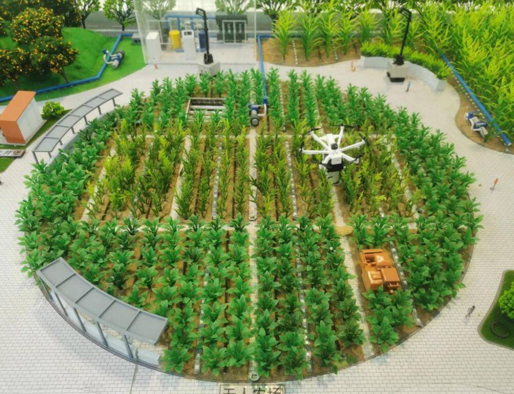 无人农场 - 1K JPEG