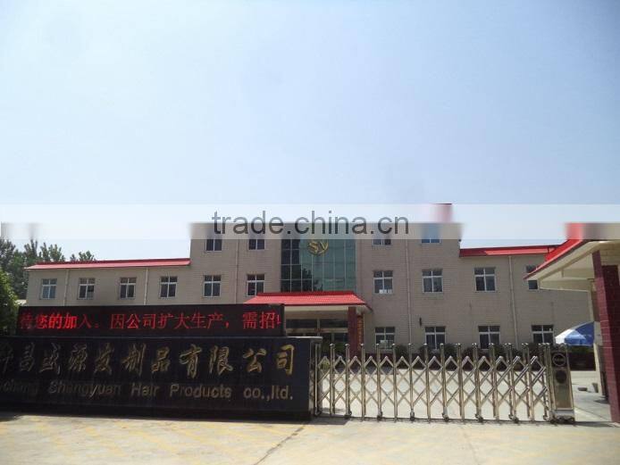 Xuchang Shengyuan Hair Products Co., Ltd. company overview - view 2