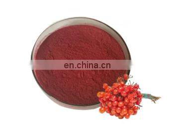 Factory Supply Pure Australian Blushwood Berry Extract Blushwood Berry Fruit Extract fruit vegetable powder production line
